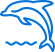 VPN安全培训